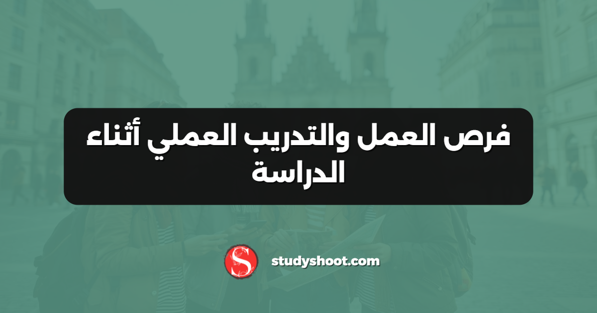 فرص العمل والتدريب العملي أثناء الدراسة