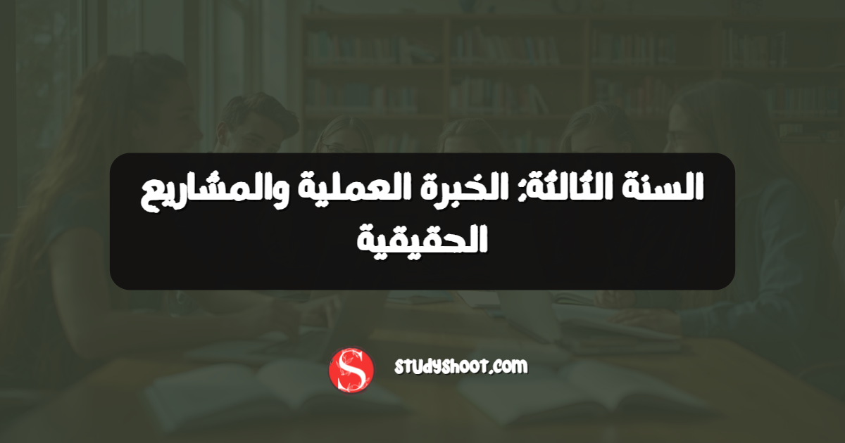 السنة الثالثة: الخبرة العملية والمشاريع الحقيقية