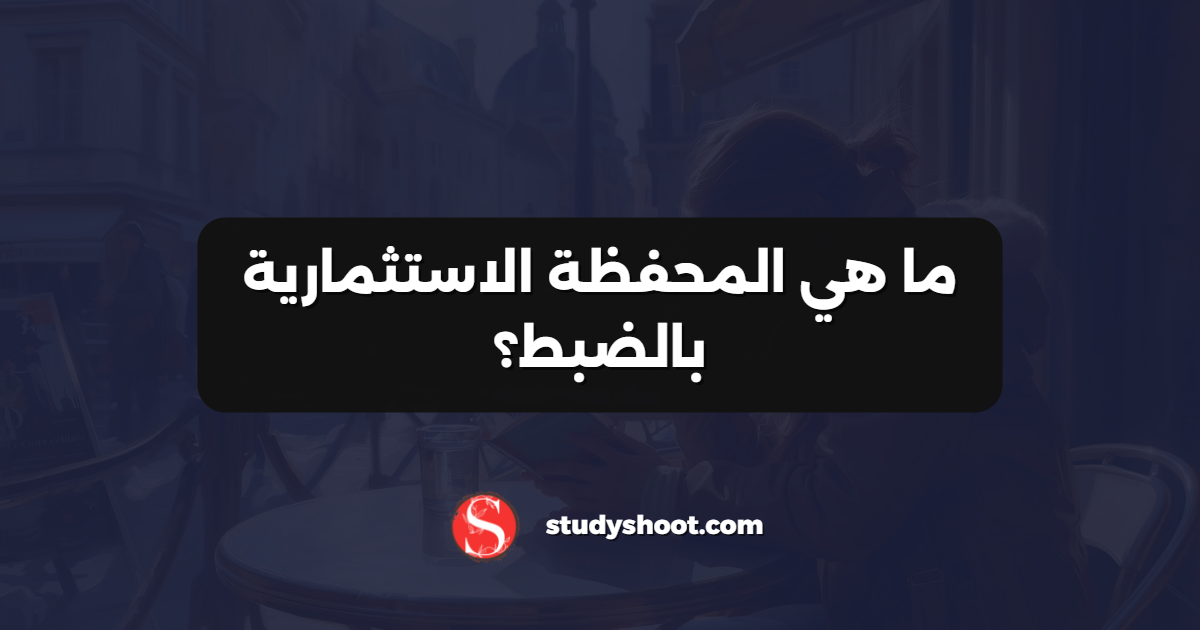 ما هي المحفظة الاستثمارية بالضبط؟