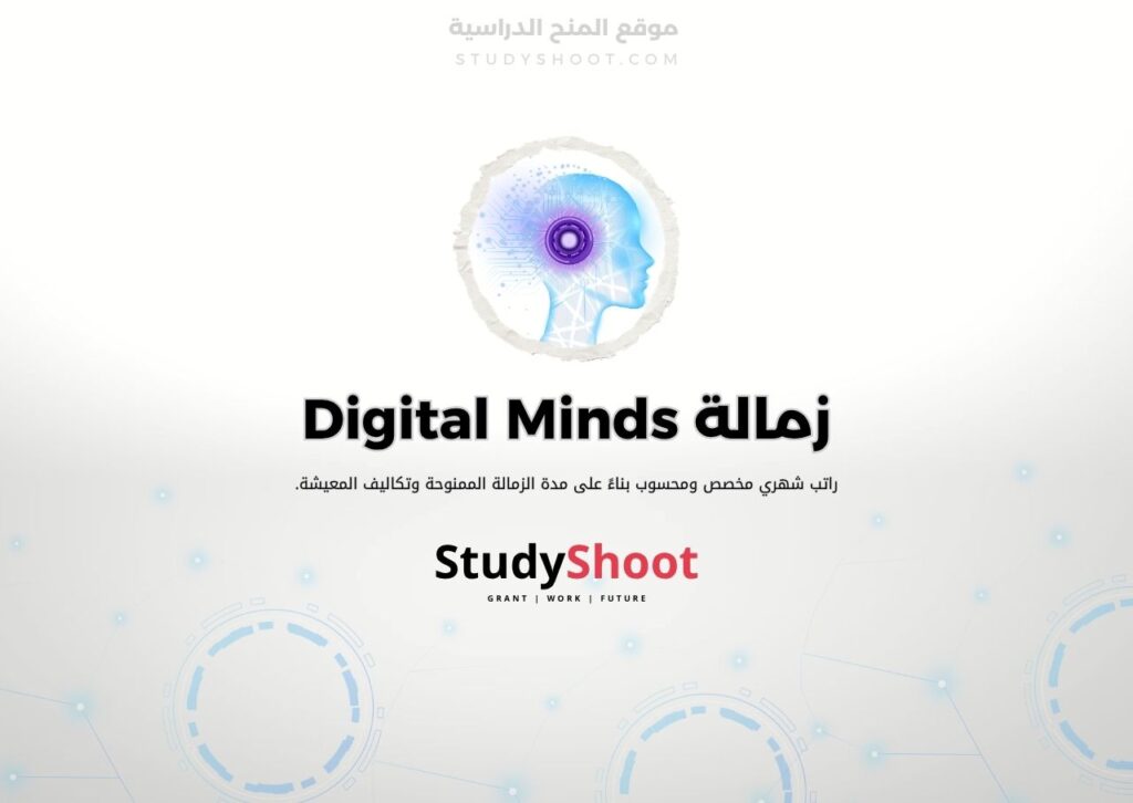 زمالة Digital Minds