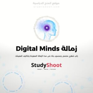 زمالة Digital Minds للتطوير المهني في الذكاء الاصطناعي