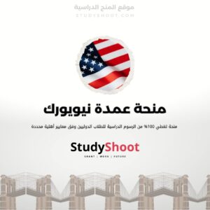منحة عمدة نيويورك للدراسة والعمل في حكومة المدينة