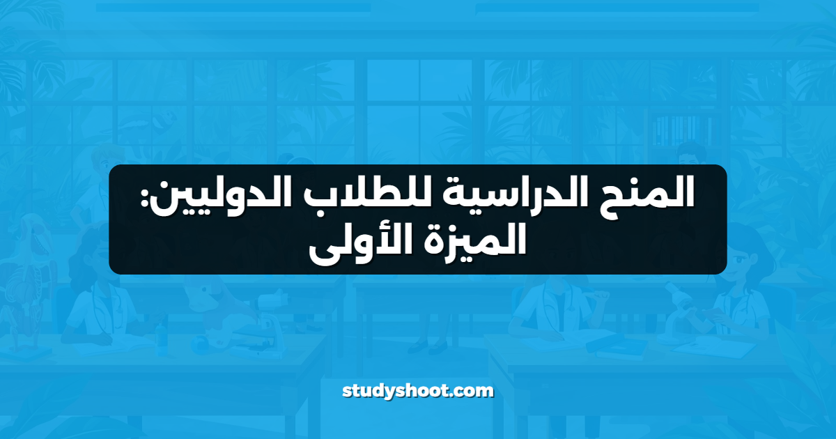 المنح الدراسية للطلاب الدوليين: الميزة الأولى