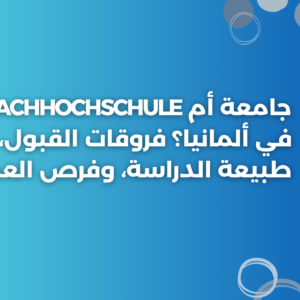 ستودي شووت دراسة تخصص في الخارج