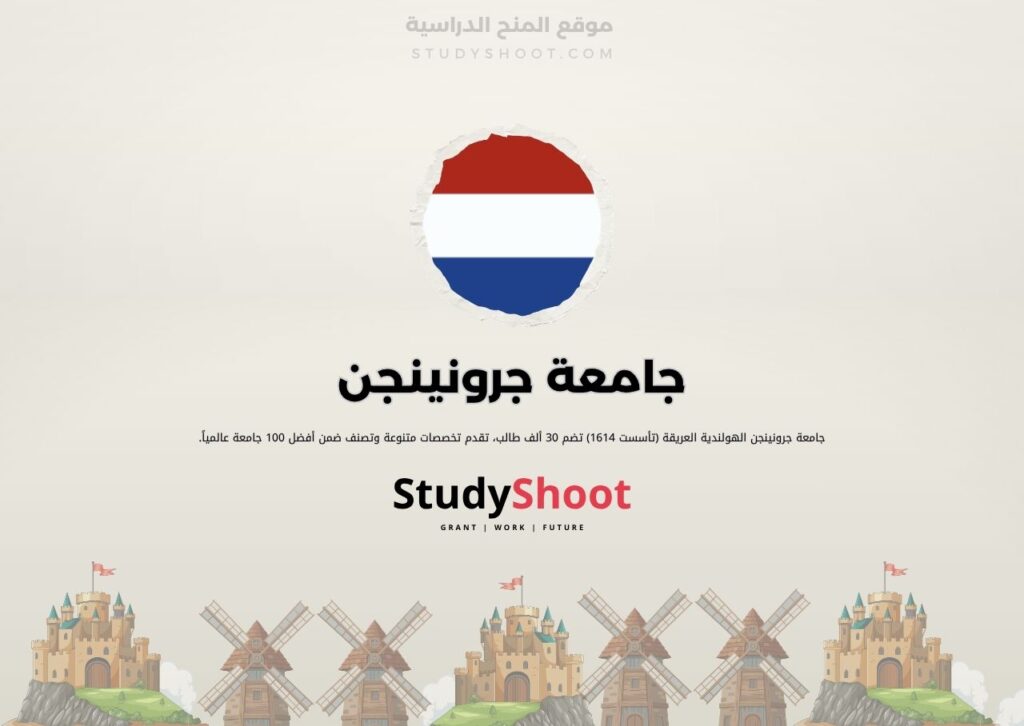 جامعة جرونينجن