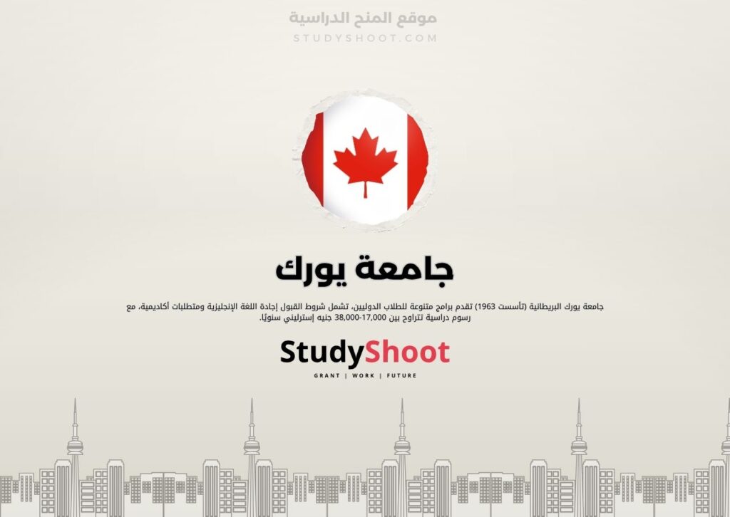 جامعة يورك