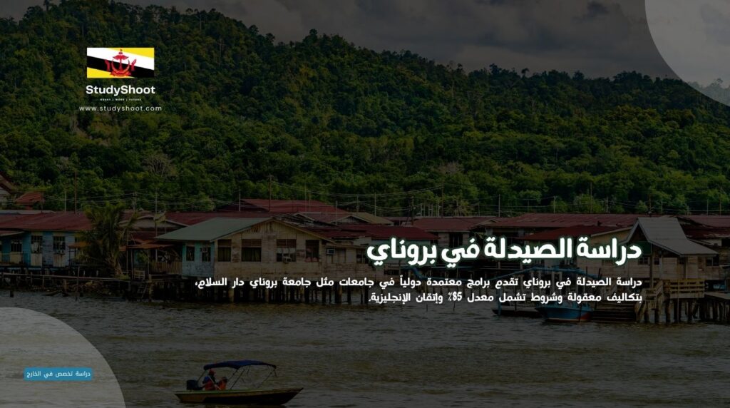 الصيدلة في بروناي