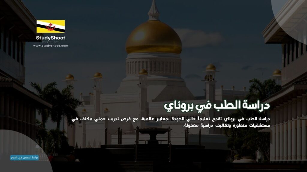دراسة الطب في بروناي