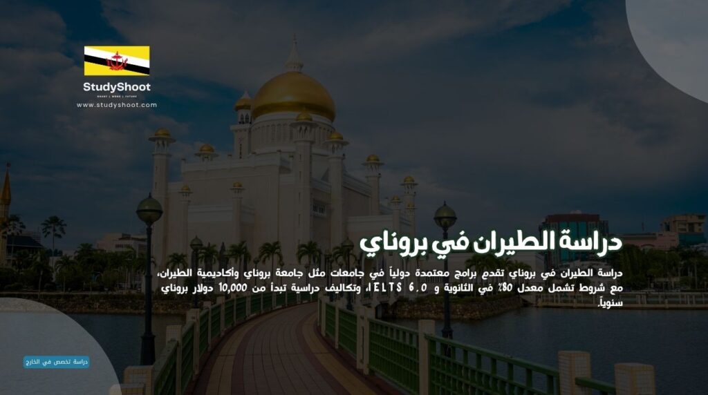 الطيران في بروناي