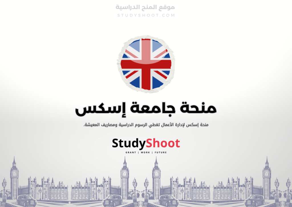 ستودي شووت اللغة الانكليزية منحة جامعة سيينا