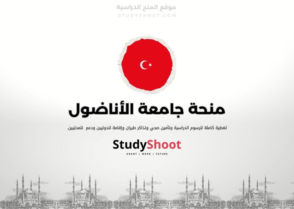 منحة جامعة الأناضول