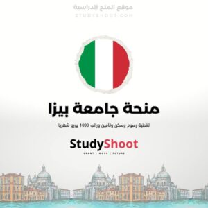 منحة جامعة بيزا