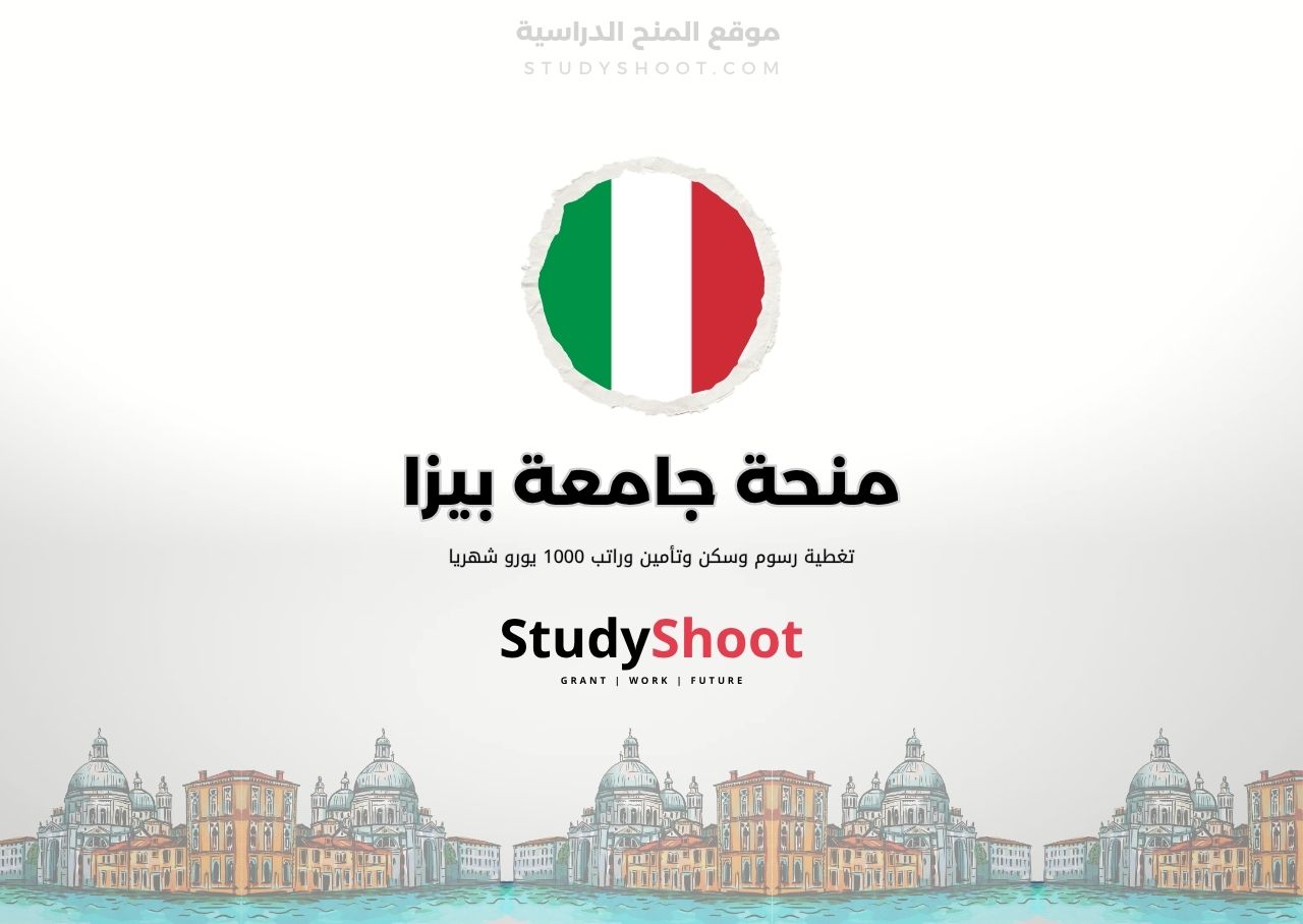 منحة جامعة بيزا