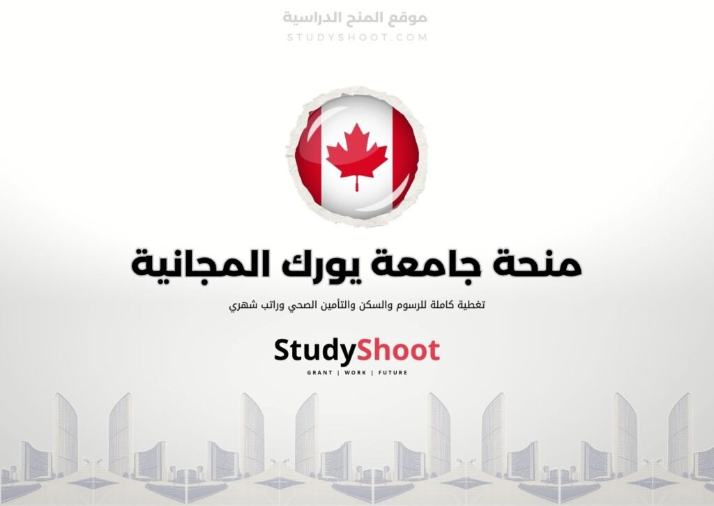 ستودي شووت اللغة الانكليزية منحة جامعة يورك