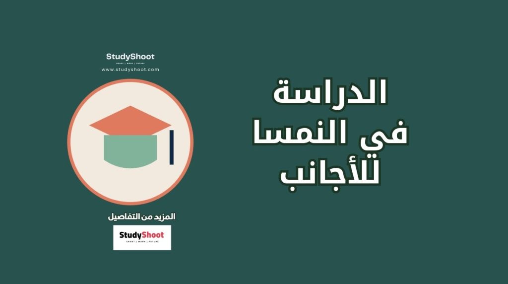 الدراسة في النمسا