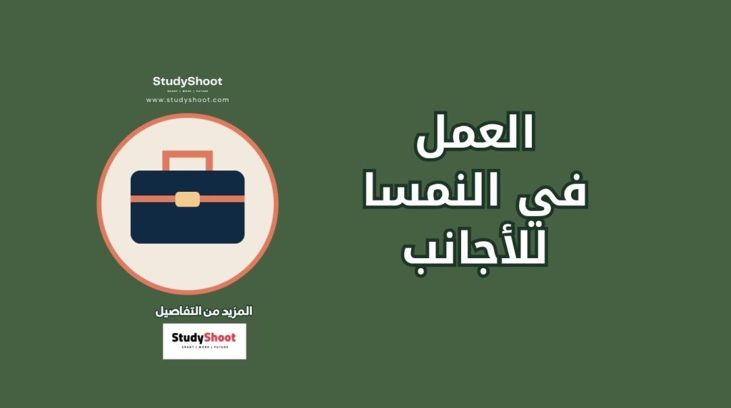 العمل في النمسا