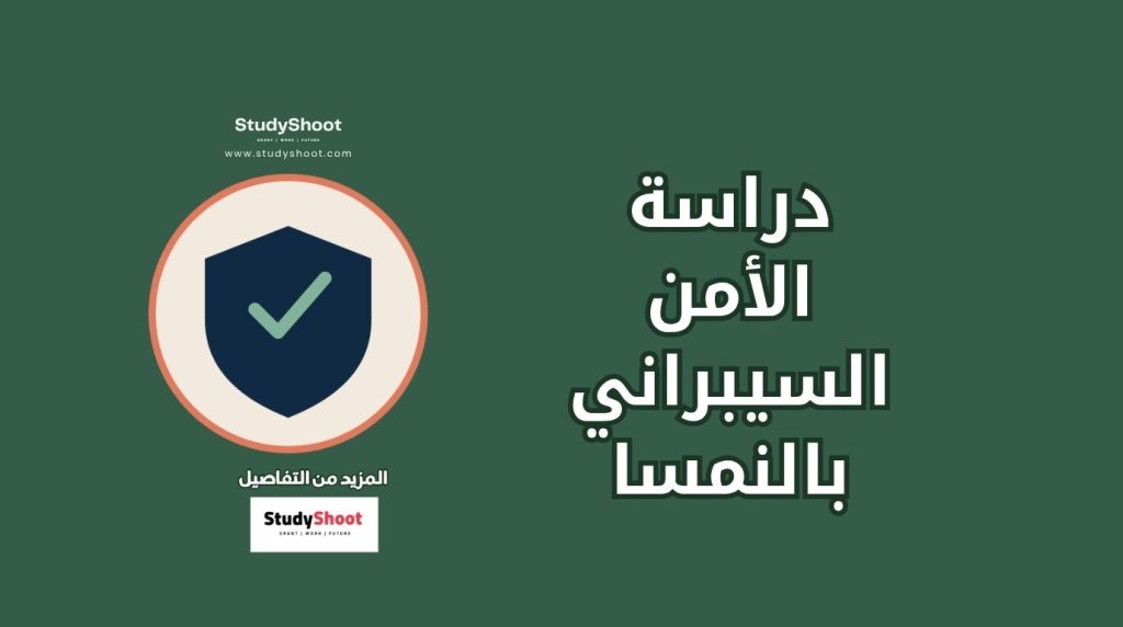 أمن السيبراني في النمسا