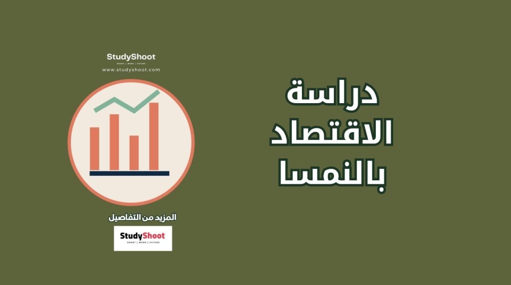 دراسة الاقتصاد في النمسا