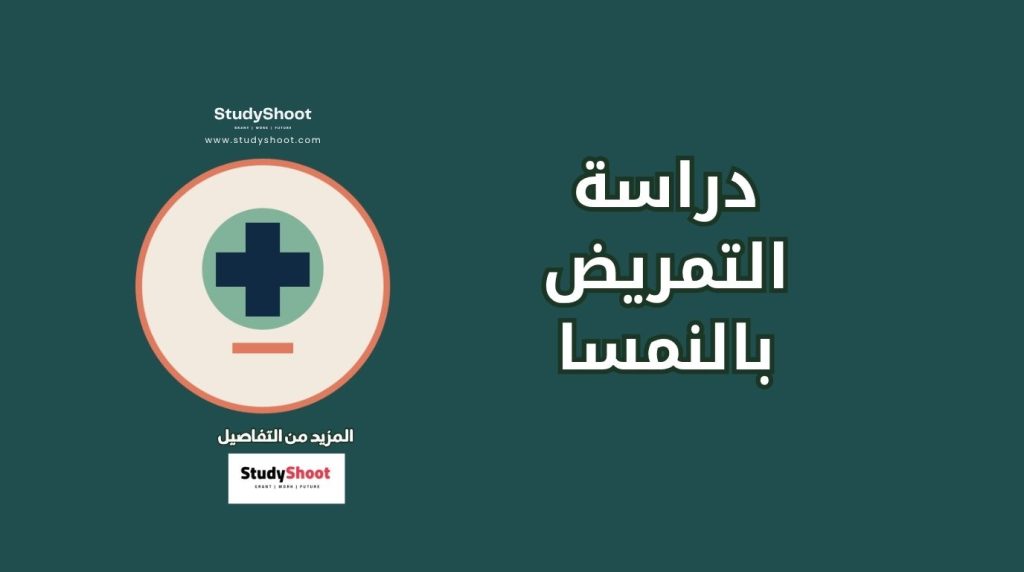 تمريض في النمسا