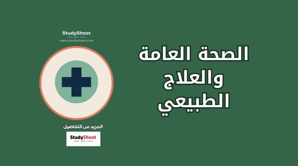 دراسة الصحة العامة في النمسا