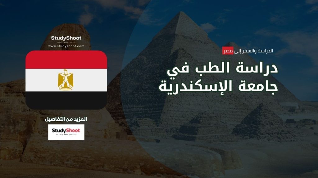 دراسة الطب في جامعة الإسكندرية