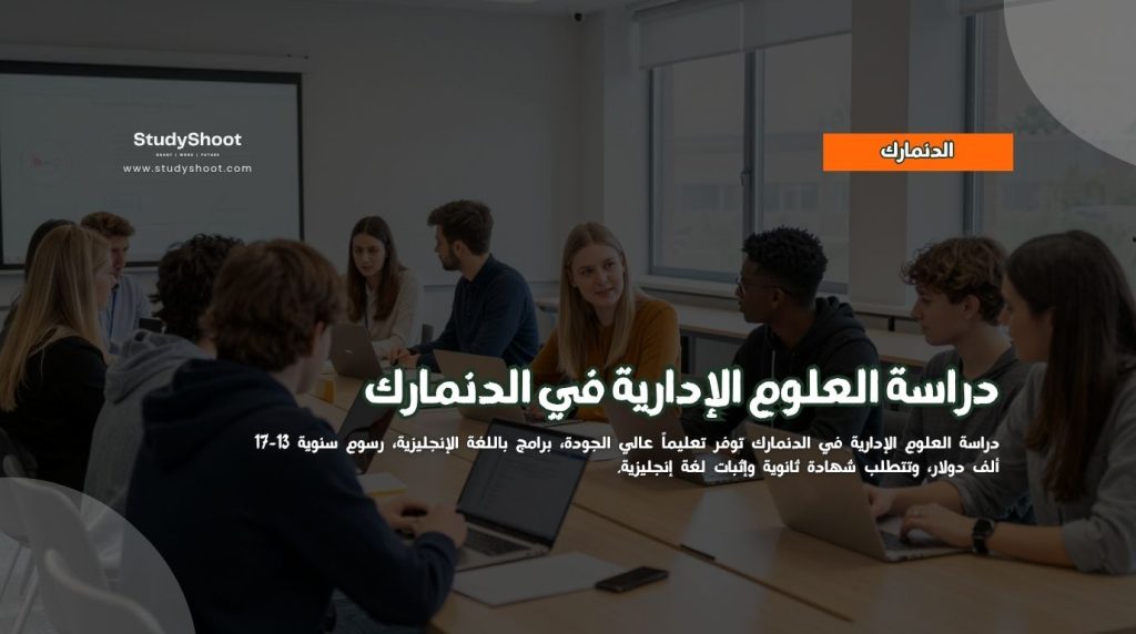 دراسة الإدارة في الدنمارك