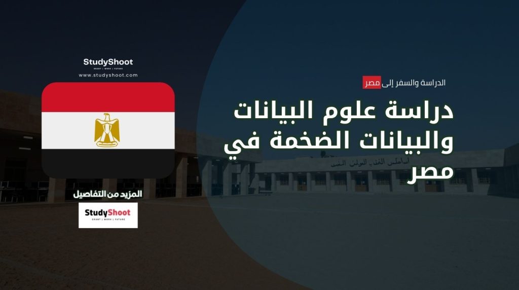 علوم البيانات في مصر