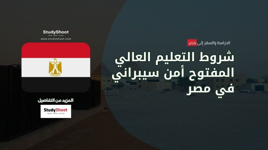 أمن سيبراني في مصر