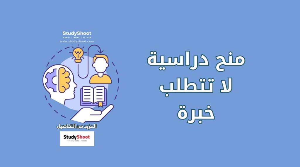 منح دراسية بدون خبرة