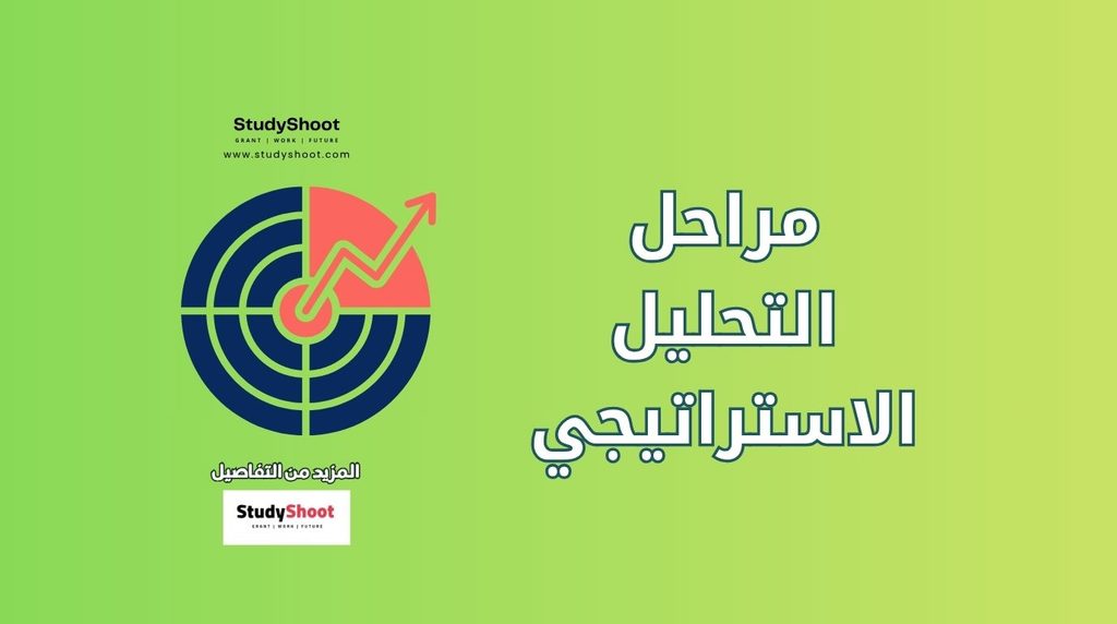 ستودي شووت ريادة الأعمال والتجارة الإلكترونية التحليل الاستراتيجي