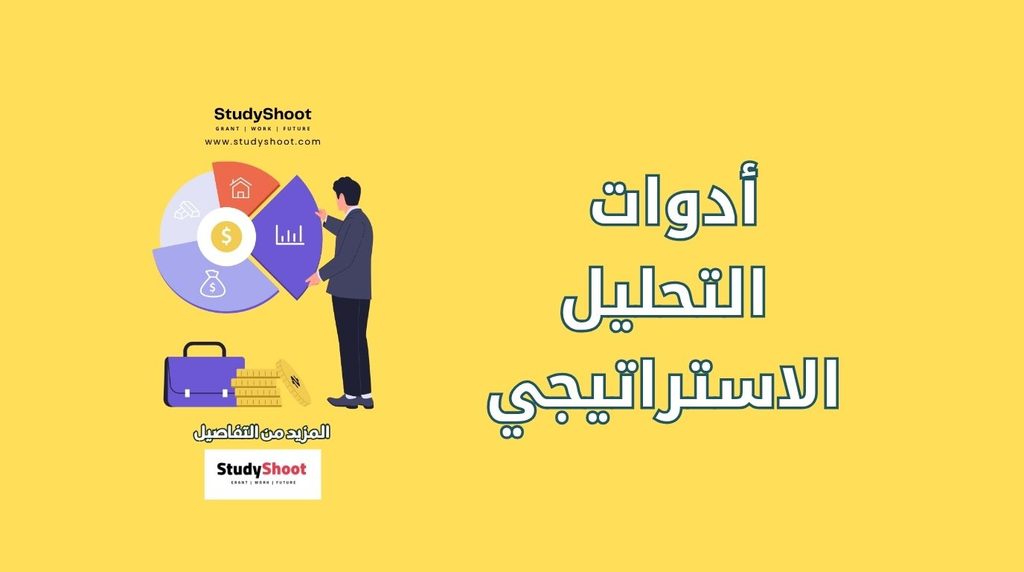 ستودي شووت ريادة الأعمال والتجارة الإلكترونية التحليل الاستراتيجي