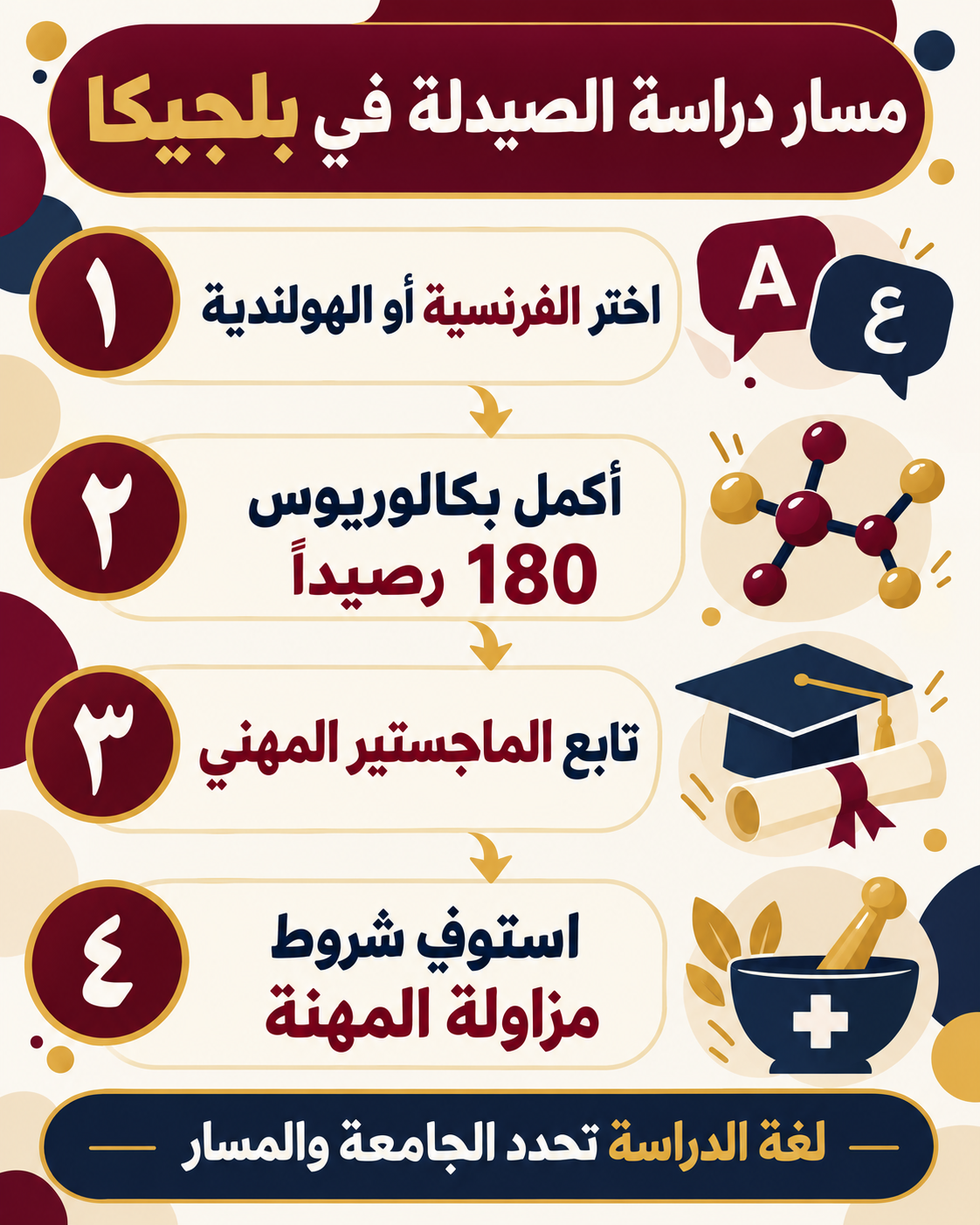 مسار دراسة الصيدلة في بلجيكا واختيار لغة البرنامج