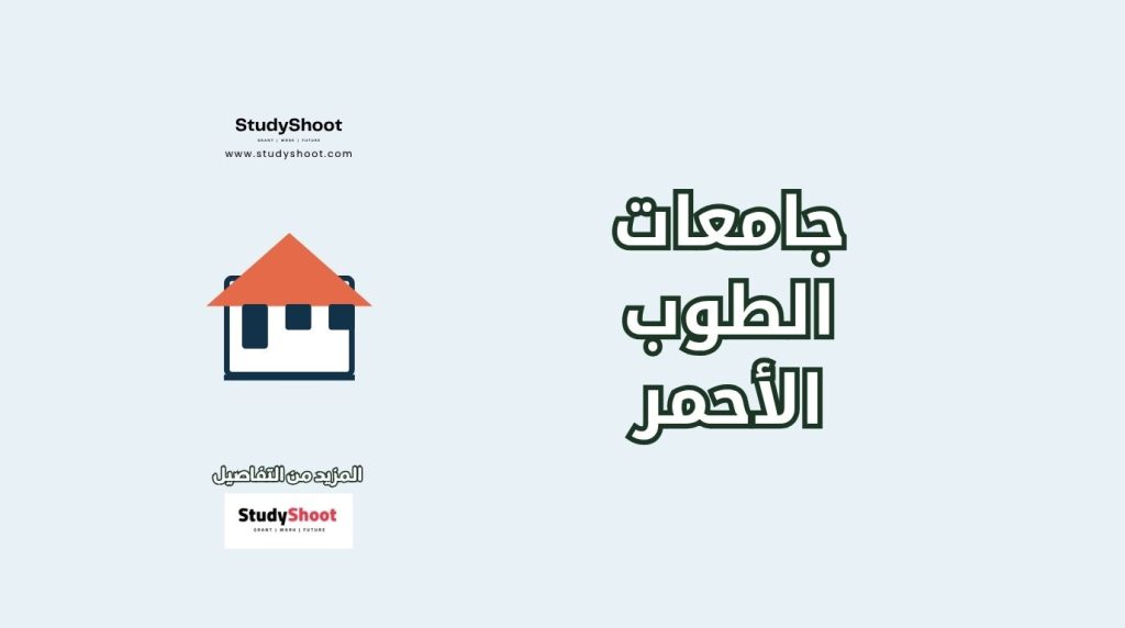 جامعات الطوب الأحمر