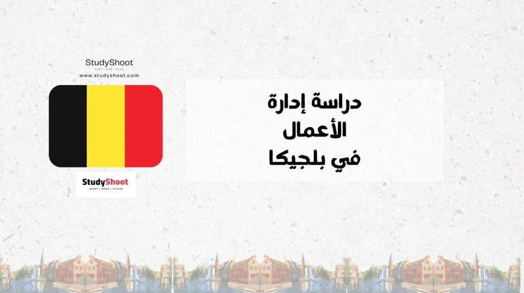 دراسة إدارة الأعمال في بلجيكا