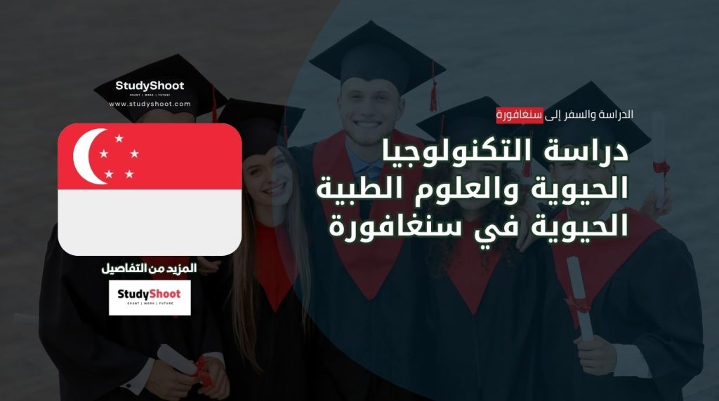 ستودي شووت المنح والقبول الجامعي منح دراسية في إيطاليا لا تشترط شهادة الآيلتس