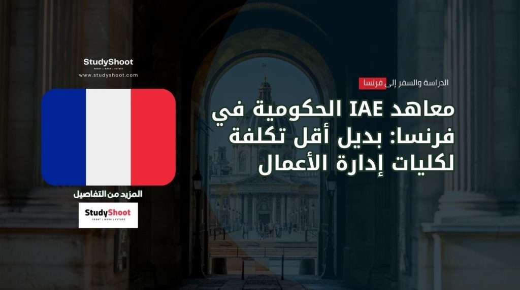 معاهد IAE في فرنسا