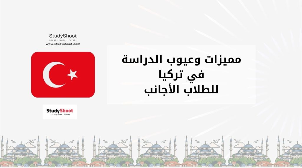 عيوب الدراسة في تركيا