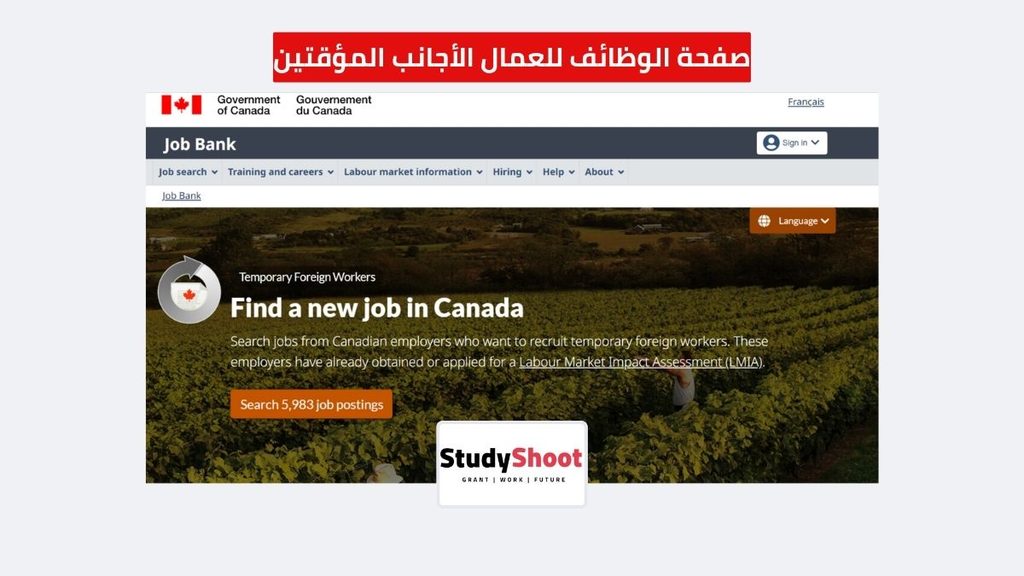 ستودي شووت الوظائف والتطوير المهني عقود عمل مجانية في كندا