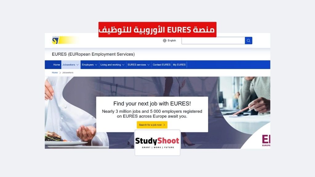 ستودي شووت مقالات عقود عمل مجانية في أوروبا