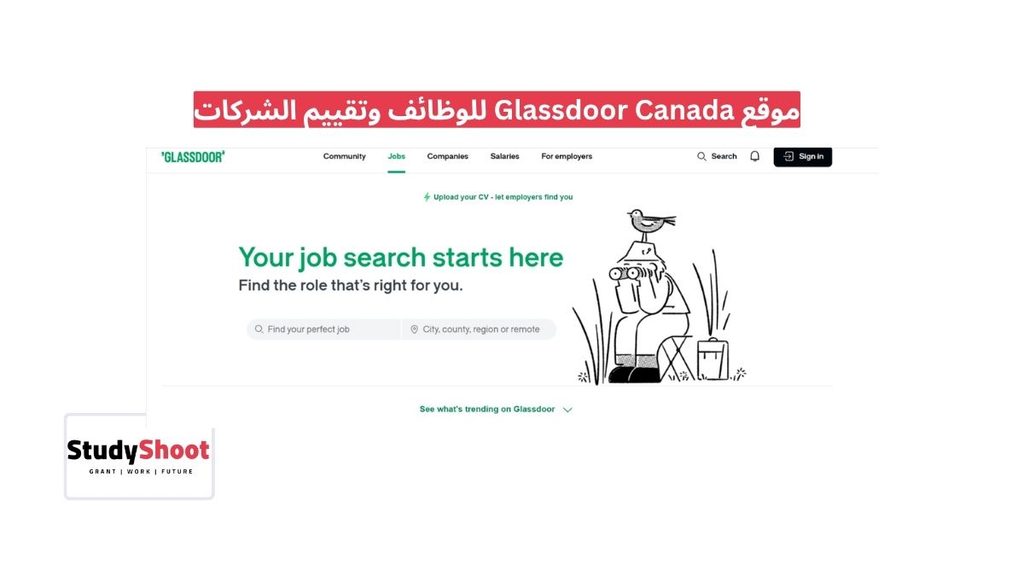 ستودي شووت الوظائف والتطوير المهني مواقع بحث عن عمل في كندا